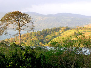 The village of El Roble looks down on San Luis Cove.